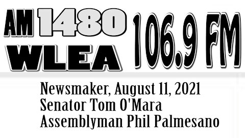 Wlea, Newsmaker, August 11, 2021, Assemblyman Phil Palmesano, Senator Tom O'Mara