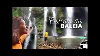 Descemos uma escadaria de 250 degraus pra conhecer essa cascata na Serra Gaúcha - ILÓPOLIS/RS