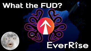 What is EverRise? EverRise Token explained! | What the FUD Episode 8