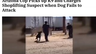 More Police Earning The Hate - Cop Throws Dog On Suspect To Get It To Attack