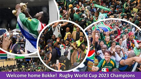 Springboks return to South Africa | Welcome home Bokke!