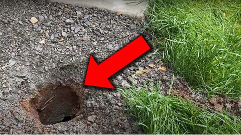 Mystery Hole APPEARED in My Backyard.. What is Inside?!?