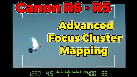 Canon R5/R6 Tutorial - Advanced Focus Cluster Mapping for BIF - Birds In Flight Shooting