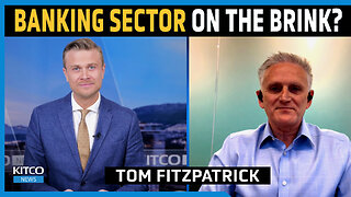 Banking Sector Faces Systemic Risks - Thomas Fitzpatrick