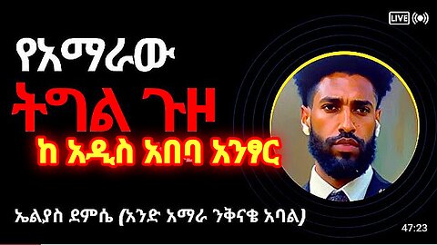 የአዲስአበባ እና ዐማራ ፋኖ የትግል ጥምረት ምን ሊመስል ይገባዋል ⁉️❗️