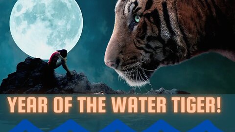 YEAR OF THE WATER TIGER!! Chinese New Year 2022