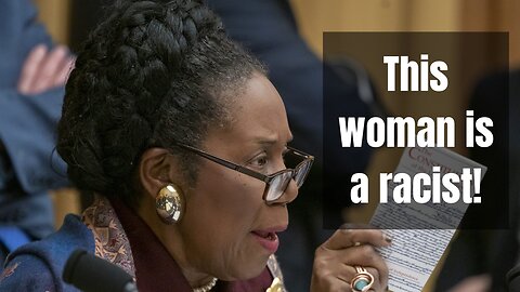 Congressman Sheila Jackson Lee introduces bill that criminalizes criticism of any “non-White person”