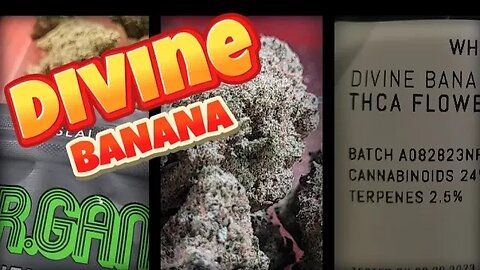 THCA | DIVINE BANANA | DR GANJA🍌