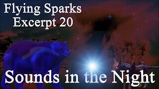 Sounds in the Night - Excerpt 20 - Flying Sparks - A Novel – A Confrontation