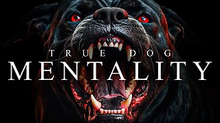 TRUE DOG MENTALITY - Best Motivational Video Speeches Compilation