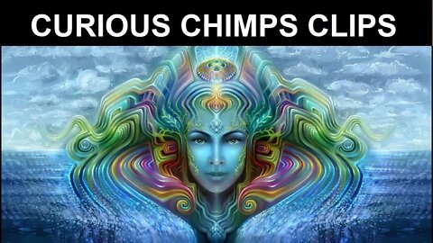 Meeting God with Ayahuasca (TRIP REPORT) | Curious Chimps