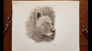 Drawing a Lion - With Pencil and Ink.