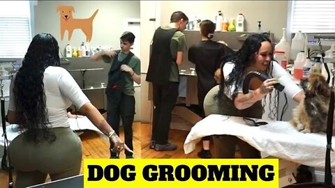 My routine with my puppy DOG GROOMING Big Booty girl Curvy