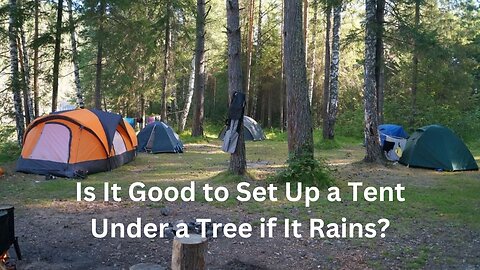 Is It Good to Set Up a Tent Under a Tree if It Rains?