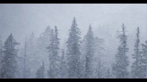 3 Hours of Snow Storm Sounds For Relaxing, Meditation, and Study. Dark Screen for Deep Sleep