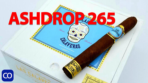 CigarAndPipes CO Ashdrop 265