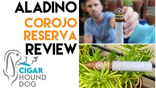 Aladino Corojo Reserva Cigar Review