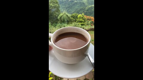 Beautiful mountain+ cocoa drink= heaven
