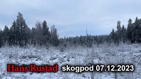 Skogpod 7. desember 2023