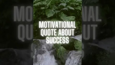 Motivational Quote (Success)