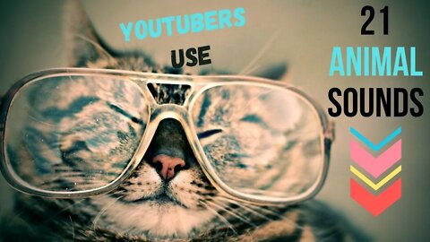 21 ANIMAL SOUND Effects Youtubers Use Free Download 🐯 Animal Sounds 2020 #animalsounds