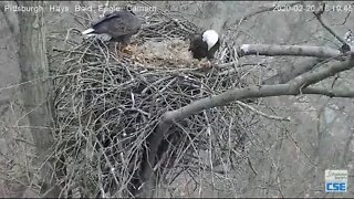 Hays Eagles Mom just kept on eating 22020