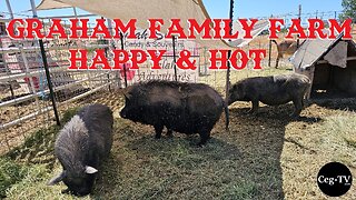 Graham Family Farm: Happy & Hot