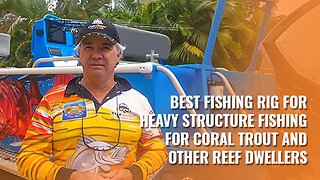 Best fishing rig for heavy structure fishing for coral trout and other reef dwellers.