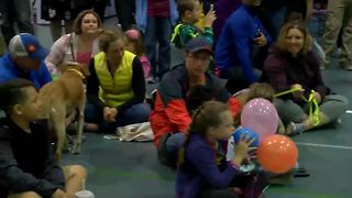 Pug Fest guests wait patiently for costume competition