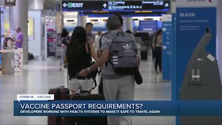 Will you need a vaccine passport to be able to travel again?