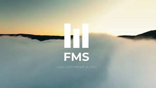 FMS - Free Non Copyright Slowed & Reverb Music #020