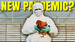 Is a Bird Flu PANDEMIC on the Way? - Bubba the Love Sponge® Show | 4/4/24