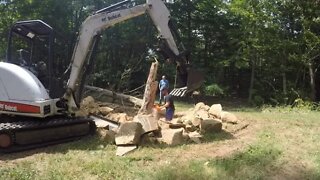 ATTEMPTING TO DIG OUT A TREE