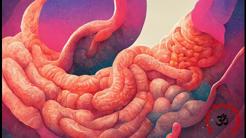 The Importance of Gut Health – What You Need to Know