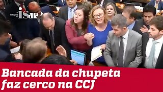 O cerco da bancada da chupeta na CCJ