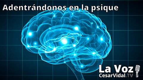 Adentrándonos en la psique: La neuropsicología de las emociones - 13/01/21