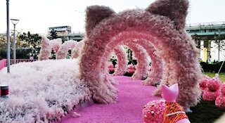 2021 New Year Decoration - Pink Cat Coronation at Harbour North, North Point, Hong Kong