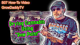 "Dew Point" Explainer Video - Drying & Curing Cannabis Using Dew Point As A Guide In The Drying Room