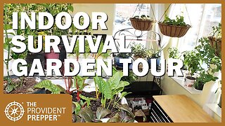 Come Tour Our Indoor Survival Garden - January 2021