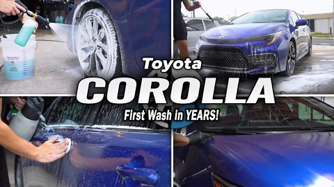 Toyota Corolla | First Wash in YEARS! Years of Dirt Turned into a Beautiful GLOSS & Hurricane Ian