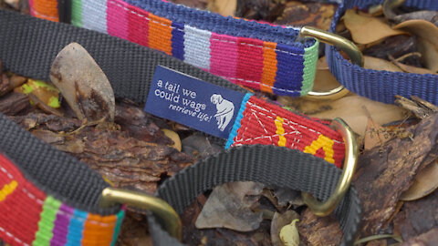 Handmade "Martingale Dog Collars" a part of a tail we could wag line of Collars, Leashes & Belts