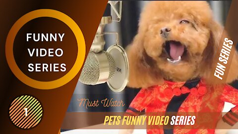 Best Funny Video Series