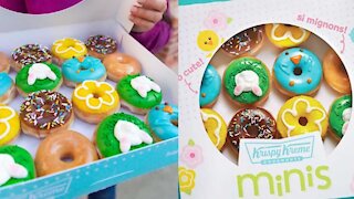 Krispy Kreme a sorti des mini-beignes décadents qui goûtent le printemps