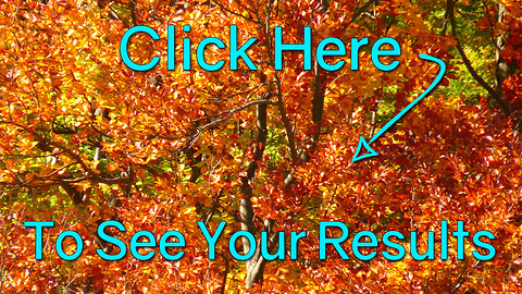 Take Our Test: Can You Tell Fall's Colors Apart? Poor Result