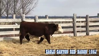 2022 1 15 106J Bull