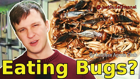 Why We Won't Be Eating Bugs In The Future | Leather Apron Club