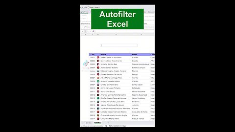 How to do auto filter in excel sheet