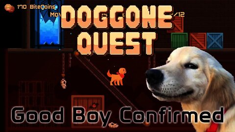 Doggone Quest - Good Boy Confirmed