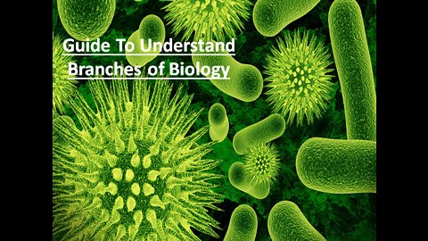 Some Crucial Branches of Biology you must Know