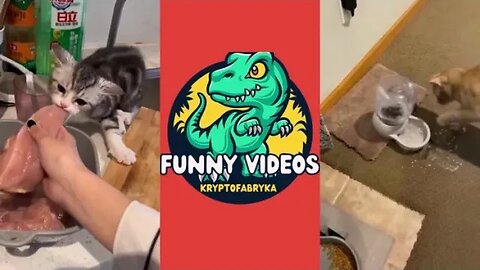 🦖 TRY NOT TO LAUGH 😂 Funny pets videos compilation 🤓 Part 7
